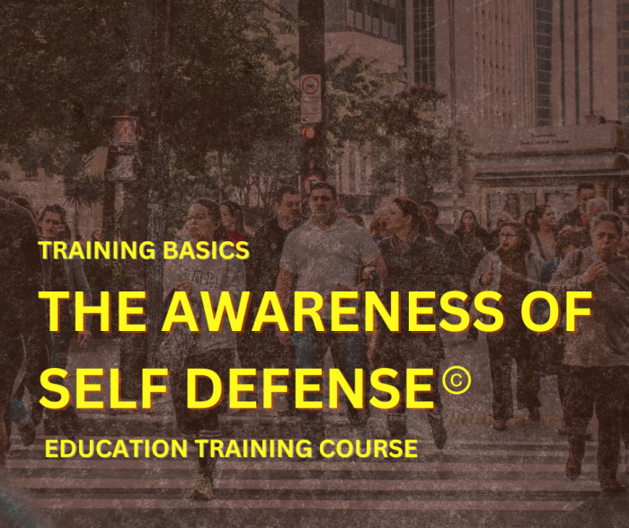 Awareness of Self Defense (2)